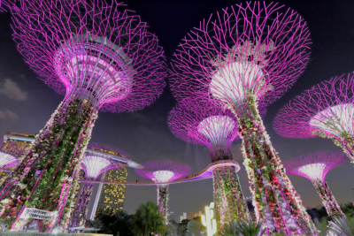 Gardens by the Bay / Singapur