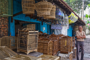 Java / Yogyakarta / Pasar Ngasem