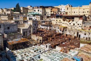 Fès / Gerbereien