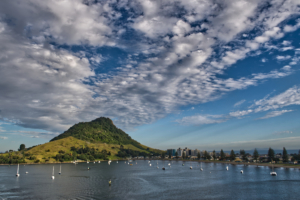 Tauranga