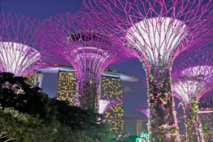 Gardens by the Bay